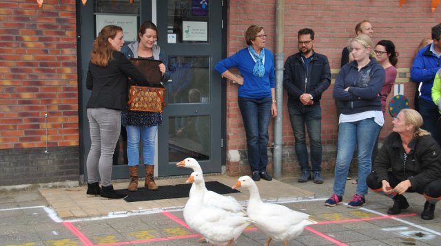Kans met een Gans (zondag 22 oktober 2017)